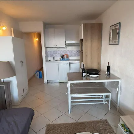 Montagnard Confortable A Pra-loup 1600, 4 Pers, Wifi Apartment